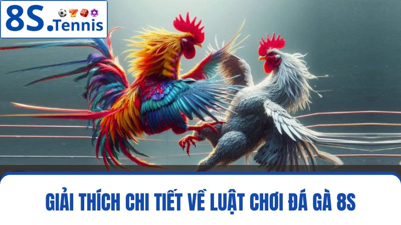 luật chơi đá gà 8S