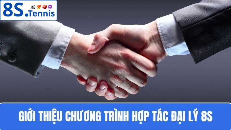 hợp tác đại lý 8S