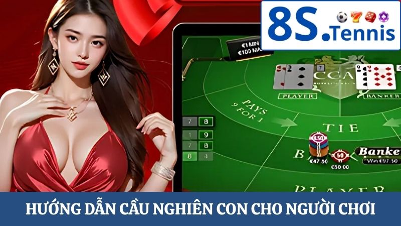 soi cầu Baccarat cầu nghiên con