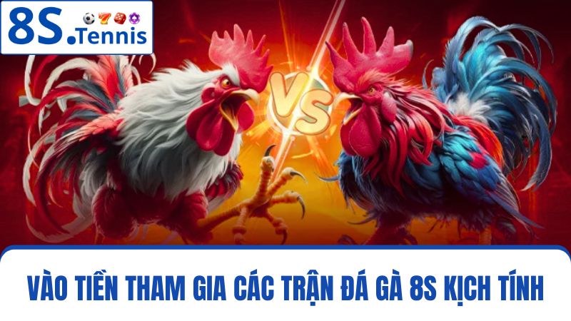 đá gà 8S